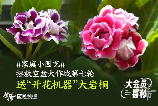 几分钟？橙柿请你挑战自我爱游戏平台爬60层楼要(图6)